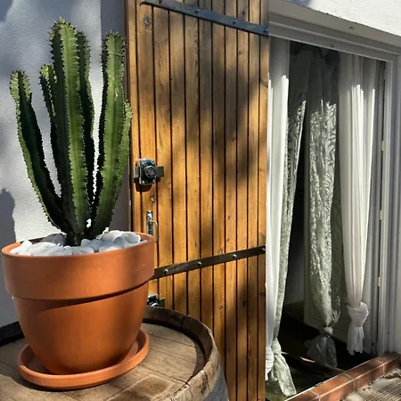 Apartment Maison Au Coeur De La Capte Hyeres